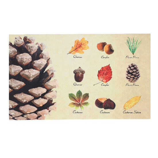 Podložka pod liatinovú rohožku "BEST FOR BOOTS" Listy a plody, farebná, 75 x 45 cm (DOPREDAJ)|Esschert Design