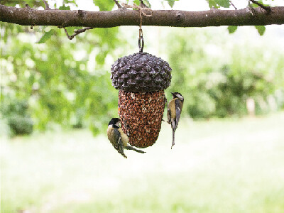 Bird feeder "BEST FOR BIRDS" Acorn|Esschert Design