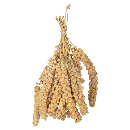 Bundle of millet|Esschert Design