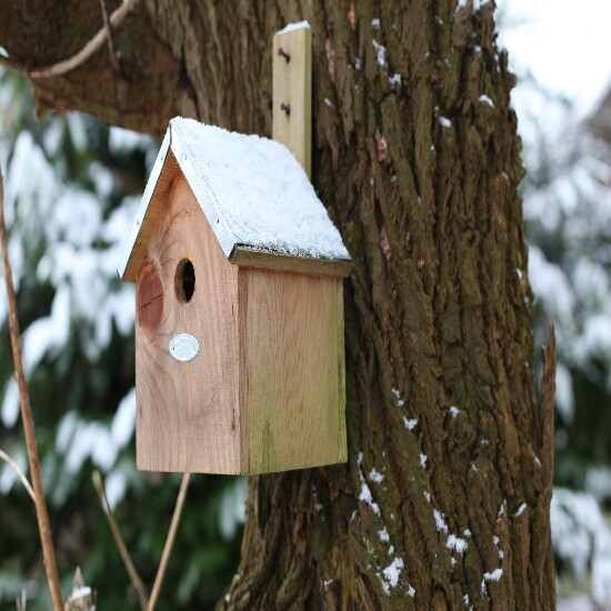 „BEST FOR BIRDS” Domek dla sikorki modrej, 18x32cm, drewno, naturalny|Esschert Design