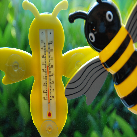 Thermometer "WORLD OF WEATHER", for window - Bee, plastic, 22 x 3.5 x 19.5 cm|Esschert Design