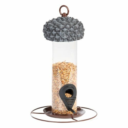 Acorn seed container, fully covered, hanging|Esschert Design