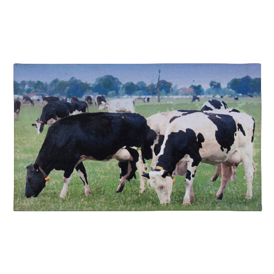 Cast iron mat pad "BEST FOR BOOTS" - cows, colors, 76x46 cm (SALE)|Esschert Design