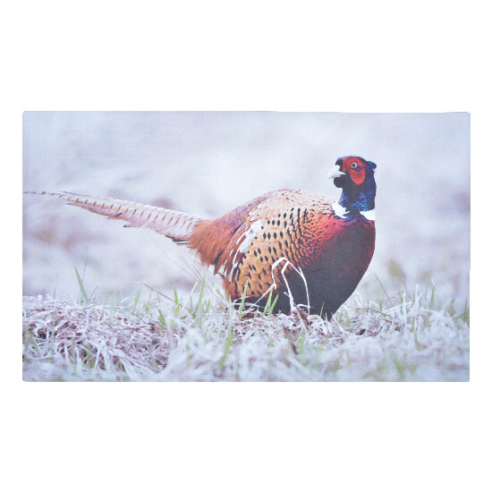 "BEST FOR BOOTS" cast-iron door mat pad Pheasant, 76 x 45.5 cm (SALE)|Esschert Design