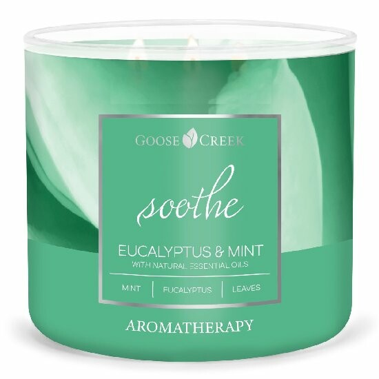 AROMATHERAPY candle 0.41 KG EUCALYPTUS & MINT, aromatic in a jar, 3 wicks|Goose Creek