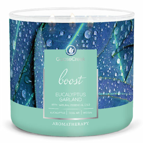 AROMATHERAPY candle 0.41 KG EUCALYPTUS & GARLAND, aromatic in a jar, 3 wicks|Goose Creek