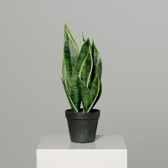 Artificial flower Mother-in-law's tongue Sanseveria in a black plastic pot, 40 cm, plastic, green, (package includes 1 pc)|DPI|Ego Dekor