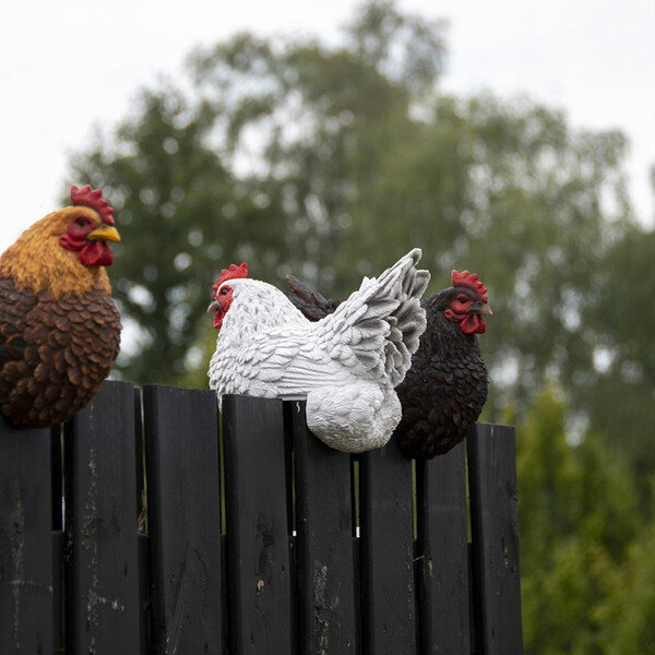 ED Animals and figures OUTDOOR Chicken on the fence, sitting, black|brown|white, 21x17cm|Esschert Design