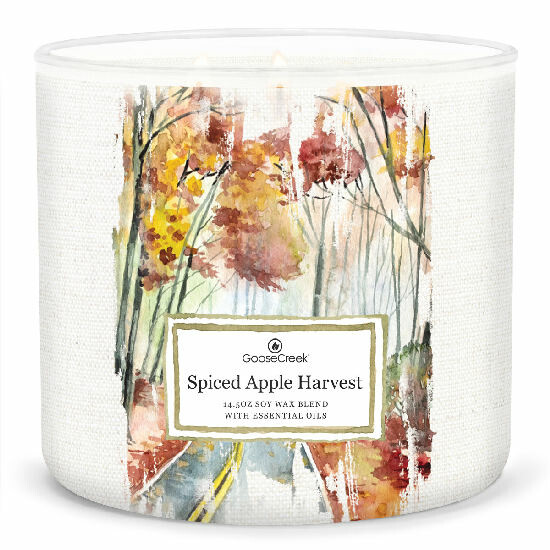 Candle 0.41 KG SPICED APPLE HARVEST, aromatic in a jar, 3 wicks|Goose Creek