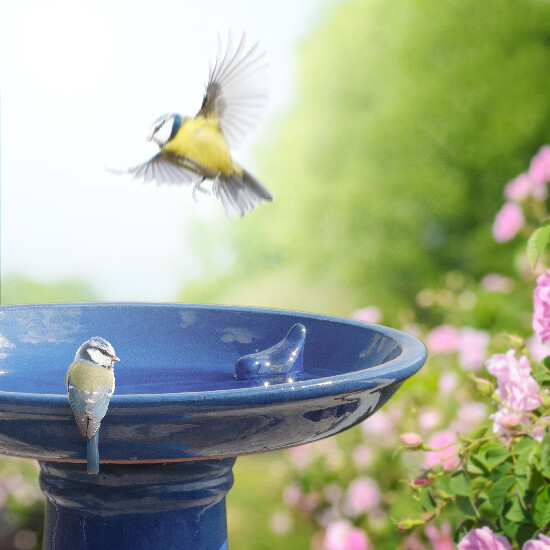 Poidełko dla ptaków ELEGANT, na nodze/stojaku, 42x47cm, niebieska glazura|Esschert Design