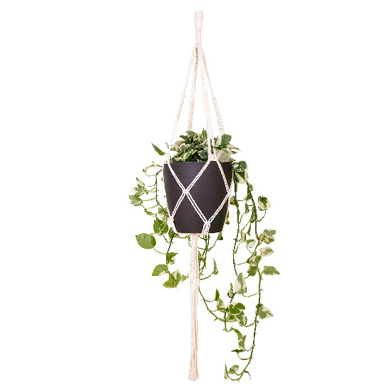 Zawieszka na doniczkę MACRAMÉ, 100cm, Macrame, biała|BIAŁY|Artevasi