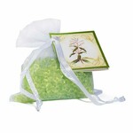 Scented bag ORGANZA 7 x 7.5 x 3 cm Verbena Expositor|Boles d'olor