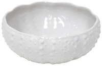 ED Salad bowl|serving 18cm|0.95L, APARTE, white|Costa Nova