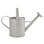 Galvanized watering can 8.7 ltr | Esschert Design