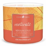 Svíčka AROMATHERAPY 0,41 KG NEROLI & CITRUS, aromatická v dóze, 3 knoty|Goose Creek