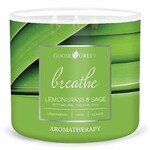 Svíčka AROMATHERAPY 0,41 KG LEMONGRASS & SAGE, aromatická v dóze, 3 knoty|Goose Creek