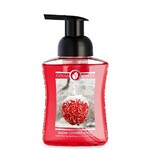 VEGAN Foam soap 260 ml SNOW COVERED APPLES, vegan, without GMO, paraffin and parabens|Goose Creek