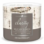 Świeca AROMATHERAPY 0,41 KG DZIKA MIĘTA I BRZOZA, aromatyczna w słoiczku, 3 knoty|Goose Creek