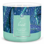 AROMATHERAPY candle 0.41 KG EUCALYPTUS & GARLAND, aromatic in a jar, 3 wicks|Goose Creek