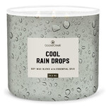 Sviečka MEN'S COLLECTION 0,41 KG COOL RAIN DROPS, aromatická v dóze, 3 knôty | Goose Creek