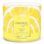 Sviečka AROMATHERAPY 0,41 KG CITRUS & BASIL, aromatická v dóze, 3 knôty | Goose Creek