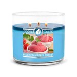 Candle 0.41 KG BLUE STRAWBERRY SORBET, aromatic in a jar, 3 wicks|Goose Creek