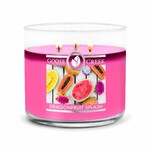 Candle 0.41 KG DRAGONFRUIT SPLASH, aromatic in a jar, 3 wicks|Goose Creek