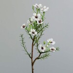 Květina umělá Byliny svazek, vosková, krémová, 25cm|Ego Dekor