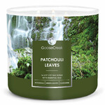 Sviečka 0,41 KG PATCHOULI LEAVES, aromatická v dóze, 3 knôty | Goose Creek