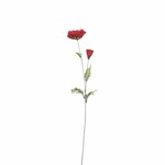 Kwiat sztuczny FLOWEE, MAK, czerwony, 70cm|Ego Dekor