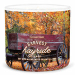 Candle 0.41 KG HARVEST HAYRIDE, aromatic in a jar, 3 wicks|Goose Creek