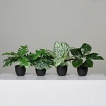 Flower artificial plant in a black flowerpot, 4 types of plants, 24-27cm, textile, green, (package contains 4 pieces!)|DPI|Ego Dekor