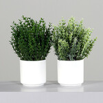 Flower artificial plant in a flower pot Horsetails, two types of plants, 24cm, plastic, green, (package contains 2 pieces!)|DPI|Ego Dekor