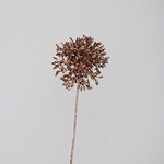 Kvetina umelá Kalokvet Agapanthus Fruit, sprej, 46cm, plast, čierna/zlatá, (balenie obsahuje 1ks)|DPI|Ego Dekor