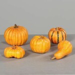 Artificial plant/flower Pumpkin Pumkin, in a net, plastic, orange, (package contains 5 pieces!)|DPI|Ego Dekor