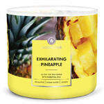 Svíčka 0,41 KG EXHILARATING PINEAPPLE, aromatická v dóze, 3 knoty|Goose Creek