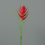 Heliconia, red, 6/36, (DOPREDAJ)|Ego Dekor