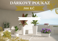 DÁRKOVÝ POUKAZ 500 Kč