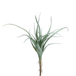 Tillandsia flower, green|Ego Dekor