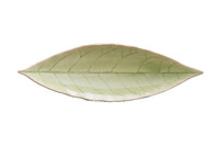 Plate|leaves tray 18cm, RIVIERA, black/green|Vert frais|Costa Nova